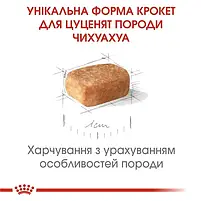 Сухий корм Royal Canin Chihuahua Puppy для цуценят породи чихуахуа 1.5 кг, фото 4