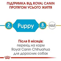 Сухий корм Royal Canin Chihuahua Puppy для цуценят породи чихуахуа 1.5 кг, фото 6