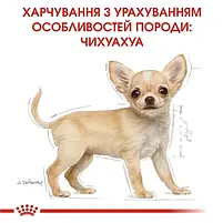 Сухий корм Royal Canin Chihuahua Puppy для цуценят породи чихуахуа 1.5 кг, фото 7