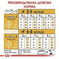 Сухий корм Royal Canin Chihuahua Puppy для цуценят породи чихуахуа 1.5 кг, фото 8