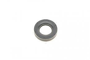 Кільце ущільнювальне свічкового колодязя Mini (R50 / R52 / R53) 01-08 Elring 485920