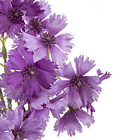 Декоративные цветы "Васильки" фиолетовые