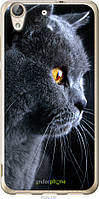 Силиконовый чехол Endorphone Huawei Y6 II Красивый кот (3038u-338-26985) MY, код: 7501312