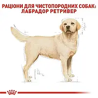 Сухий повнораційний корм для собак Royal Canin Labrador Retriever Adult породи лабрадор 12 кг, фото 3