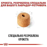 Сухий повнораційний корм для собак Royal Canin Labrador Retriever Adult породи лабрадор 12 кг, фото 5