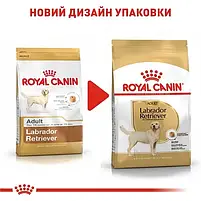 Сухий повнораційний корм для собак Royal Canin Labrador Retriever Adult породи лабрадор 12 кг, фото 7