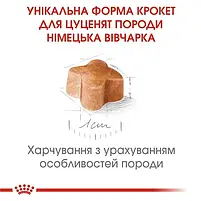 Сухий корм для цуценят Royal Canin German Shepherd Puppy собак породи німецька вівчарка 3 кг, фото 4