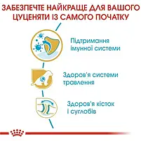 Сухий корм для цуценят Royal Canin German Shepherd Puppy собак породи німецька вівчарка 3 кг, фото 5