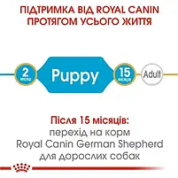 Сухий корм для цуценят Royal Canin German Shepherd Puppy собак породи німецька вівчарка 3 кг, фото 6
