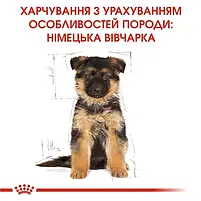 Сухий корм для цуценят Royal Canin German Shepherd Puppy собак породи німецька вівчарка 3 кг, фото 7