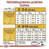 Сухий корм для цуценят Royal Canin German Shepherd Puppy собак породи німецька вівчарка 3 кг, фото 8