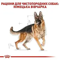 Сухий корм Royal Canin German Shepherd Adult для собак породи німецька вівчарка 11 кг, фото 3