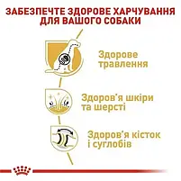 Сухий корм Royal Canin German Shepherd Adult для собак породи німецька вівчарка 11 кг, фото 4