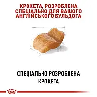Сухий корм Royal Canin Bulldog Adult сухий для дорослих собак породи бульдог 3 кг, фото 4