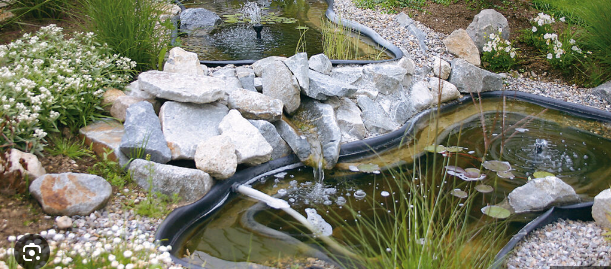 садовый пруд