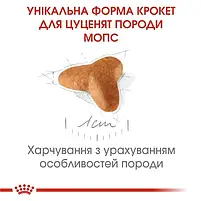 Сухий корм для собак Royal Canin Pug Puppy для цуценят мопсів 1.5 кг, фото 3