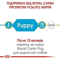 Сухий корм для собак Royal Canin Pug Puppy для цуценят мопсів 1.5 кг, фото 5