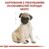 Сухий корм для собак Royal Canin Pug Puppy для цуценят мопсів 1.5 кг, фото 6