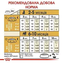 Сухий корм для собак Royal Canin Pug Puppy для цуценят мопсів 1.5 кг, фото 7