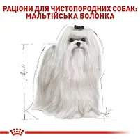 Сухий корм Royal Canin Maltese Adult для собак породи мальтійська болонка 1.5 кг, фото 4