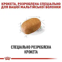 Сухий корм Royal Canin Maltese Adult для собак породи мальтійська болонка 1.5 кг, фото 5
