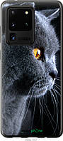 Пластиковый чехол Endorphone Samsung Galaxy S20 Ultra Красивый кот (3038m-1831-26985) KB, код: 7500671