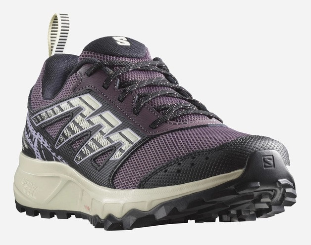 Жіночі трекінгові кросівки SALOMON WANDER s472929