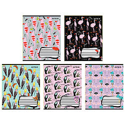 Зошит шкільний Kite BBH K24-236-1, 18 аркушів, клітинка