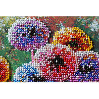 Набор-миди для вышивки бисером Разноцветные шары AMB-017 20х20 Новинка Xata