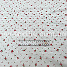 Коттон мережка в смужку троянди кущові 10 мм на молоці, фото 2