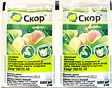 Скор 2 мл, системний фунгіцид профілактичної та лікувальної дії для захисту від основних хвороб, фото 2