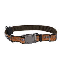 Светоотражающий ошейник для собак Coastal K9 Explorer Collar 1.6х20-30см пламя (76484364235) KC, код: 7720831