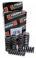 Пружини зчеплення Ferodo FSS0107