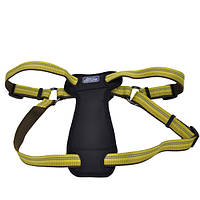 Светоотражающая шлея с нагрудником для собак Coastal K9 Explorer Harness 20.4 - 45.3 кг золот GG, код: 7720992