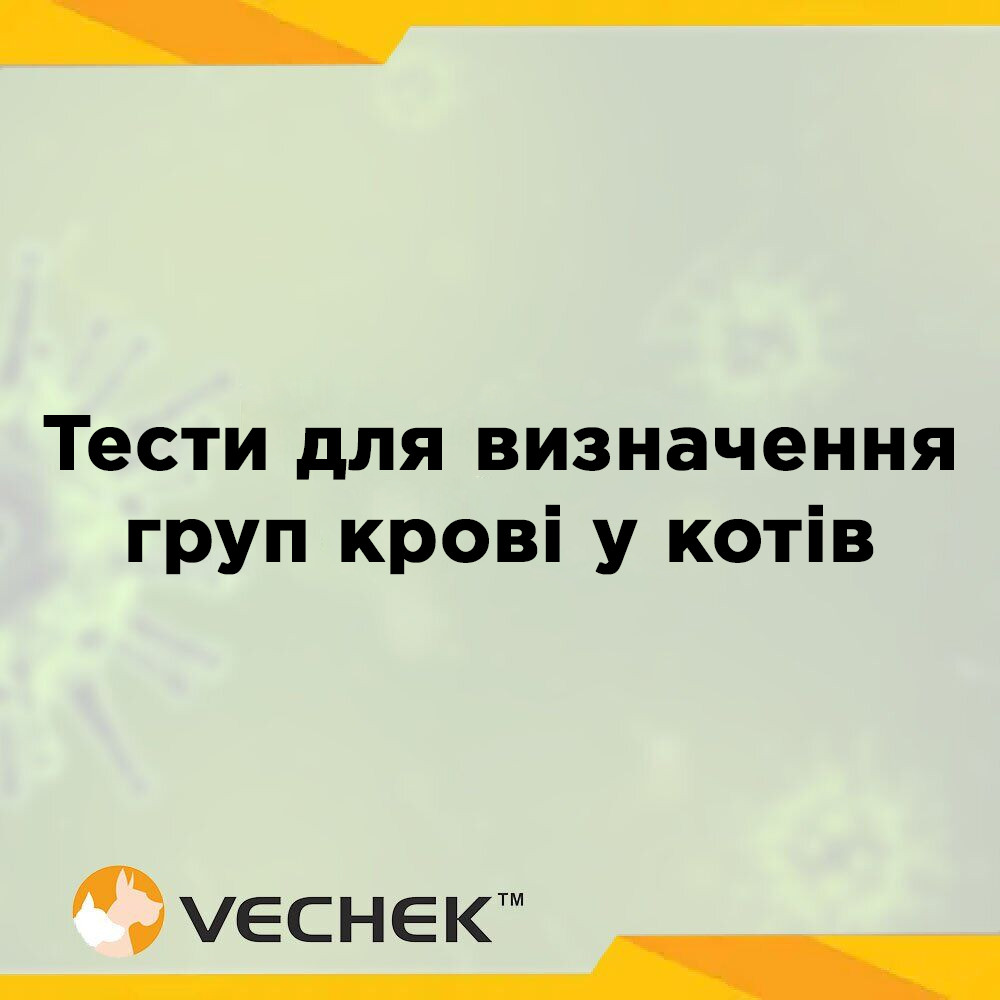 Тести для визначення груп крові у котів VECHEK