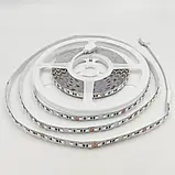 LED стрічка Biom Professional SMD3535 RGB 120шт/м 17W/м IP20 24V BPS-G3-24-3535-120-RGB-20, фото 2