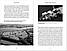 The Viking Great Army and the Making of England. Dawn Hadley , Julian Richards, фото 5