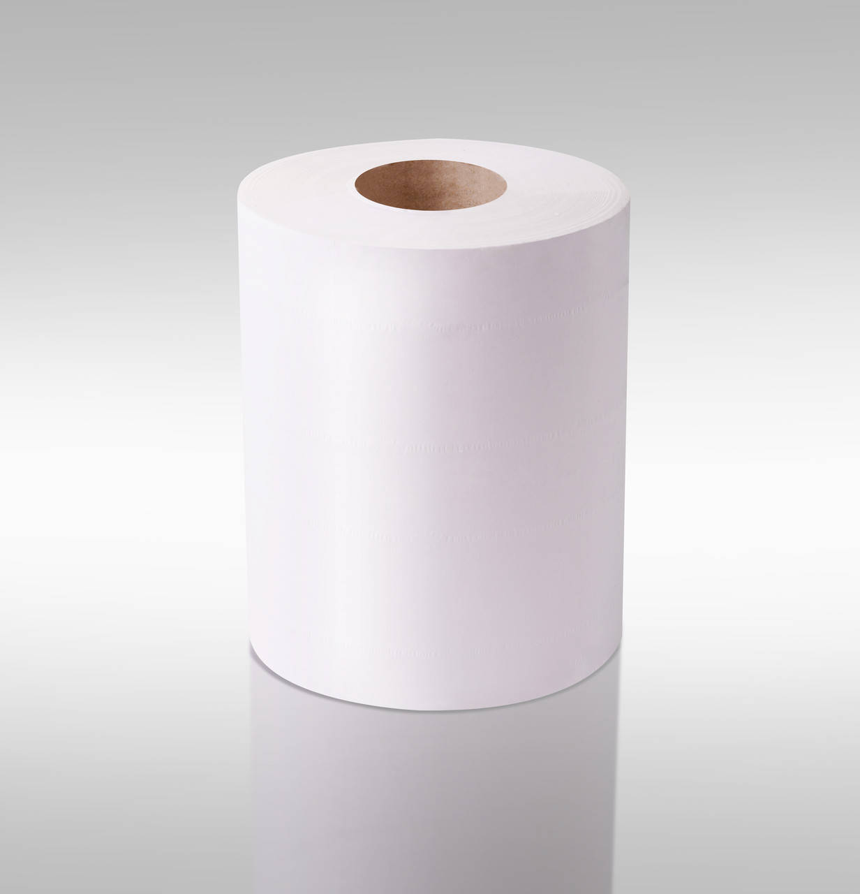 

Рулонные полотенца Eco Point с центральной вытяжкой 82м 1шар нетканный материал Wetlight, Белый