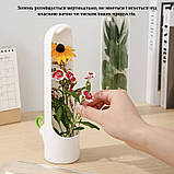 Контейнер для зберігання зелені в холодильнику набір 2 шт HERB SEVER білий (GS-141795), фото 6