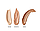 BB Cream (Medium Tone) - Терапевтичний трав'яний BB крем, 30мл, фото 4