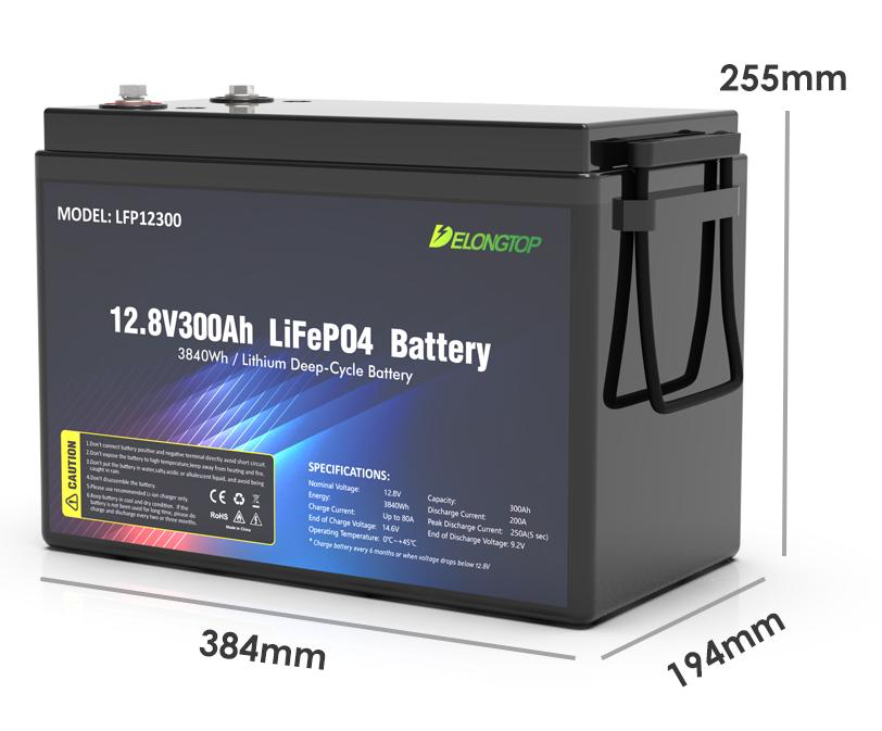 Акумуляторна батарея DELONG LiFePO4 12В 300Ah 3840Вт.г (LFP12300)