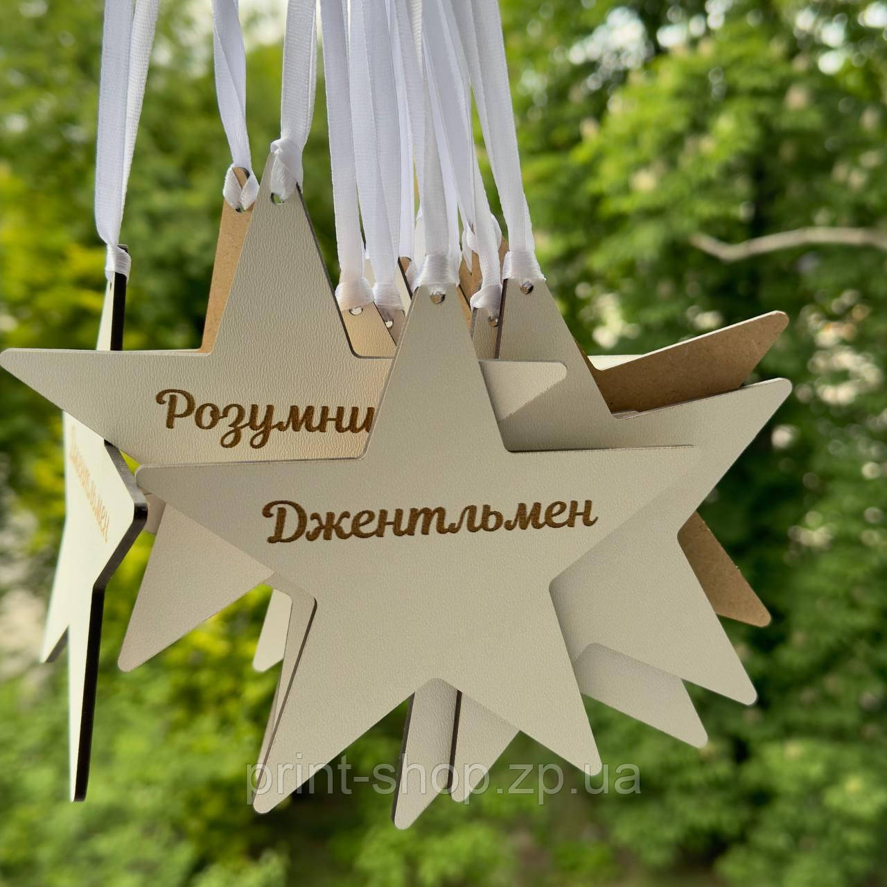 Медаль "Зірка" з номінацією