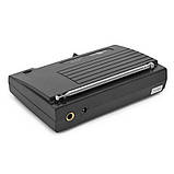 Радіосистема Takstar TS-331H, фото 4