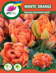 Тюльпан махровий ранній Monte Orange