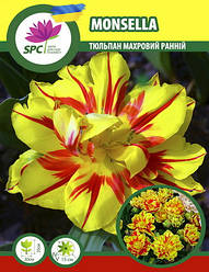 Тюльпан махровий ранній Monsella