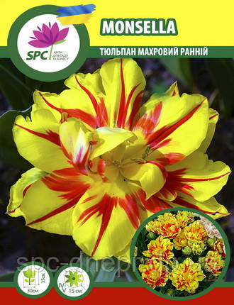 Тюльпан махровий ранній Monsella, фото 1