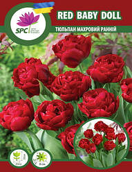 Тюльпан махровий ранній Red Baby Doll