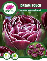 Тюльпан махровий пізній Dream Touch, фото 4