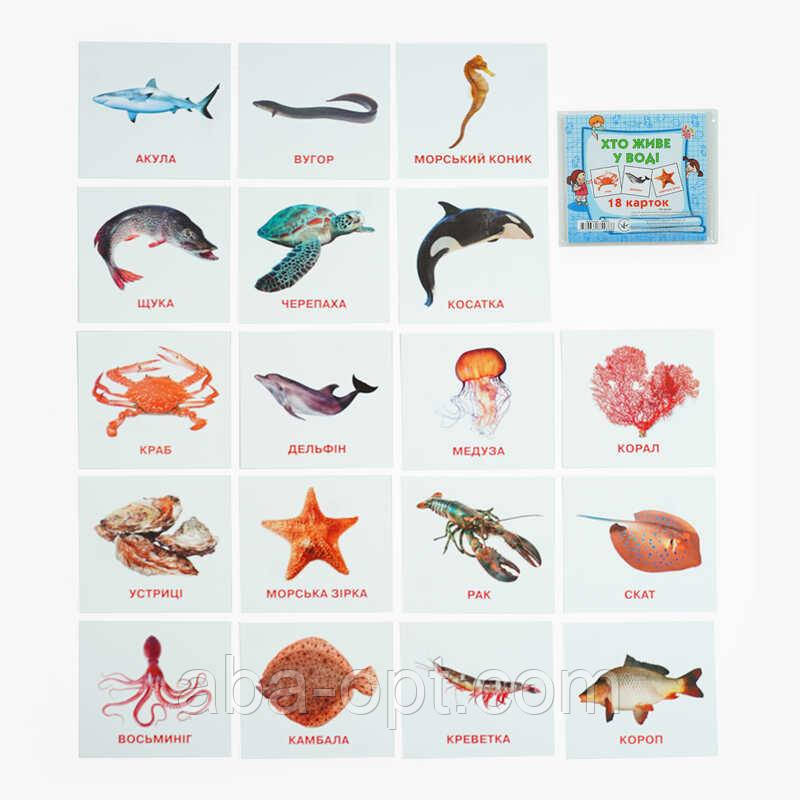 Гр Картки міні (18 карток) "Хто у воді живе" 9789669754868 (40) "Jumbi", фото 1