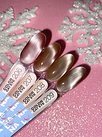 Гель-лак Color Cat Eye №207 (13ml)